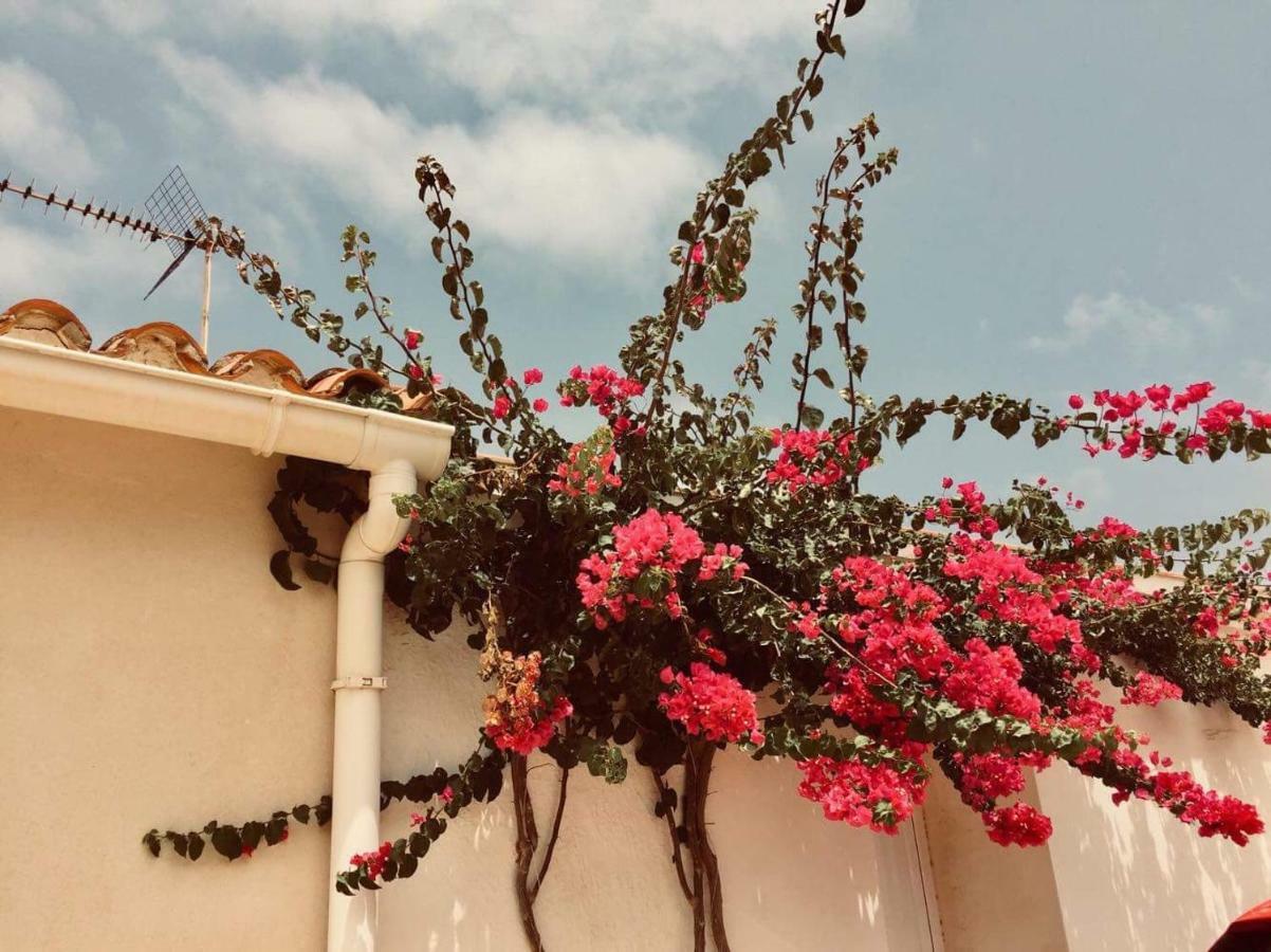 Lovely Apartment Old Town Dénia Buitenkant foto
